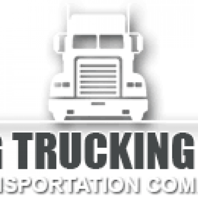 IMG Trucking Inc