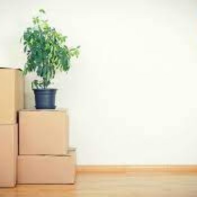 Supportive Services Moving