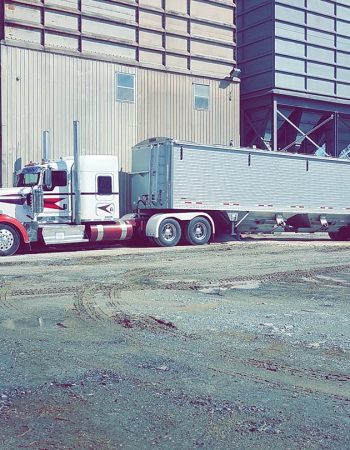 Peachey Transport