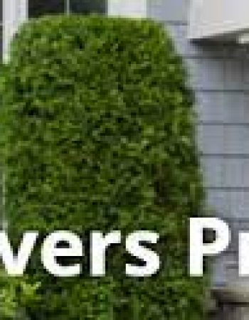 Grace Movers Providence