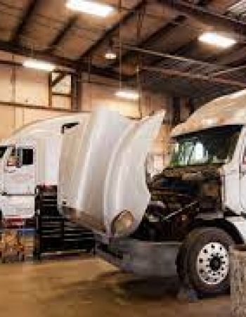 Carolina Cargo Inc
