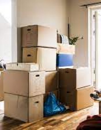 The Moving Guys LLC