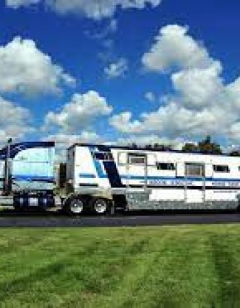 Brook Ledge Horse Transportation Inc