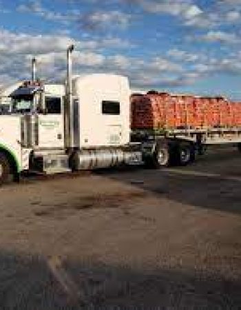 Plumley Trucking