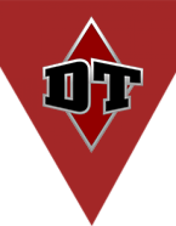 Diamond Trucking Inc