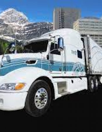 Transx Limited