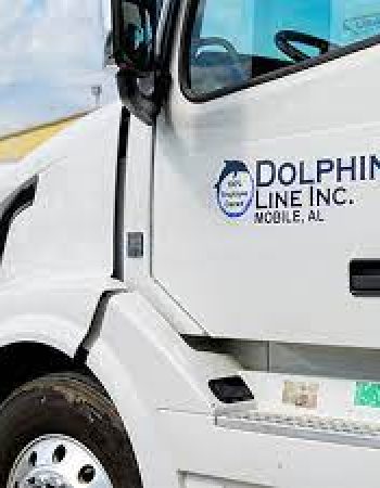 Dolphin Line Inc