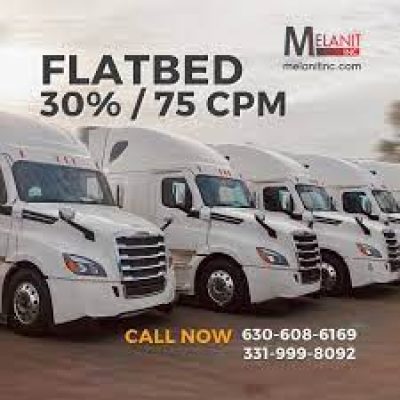 Melanit Inc