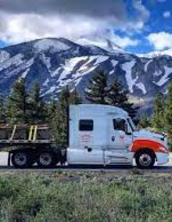 Western Transport Logistics Inc