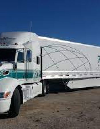 Transx Limited