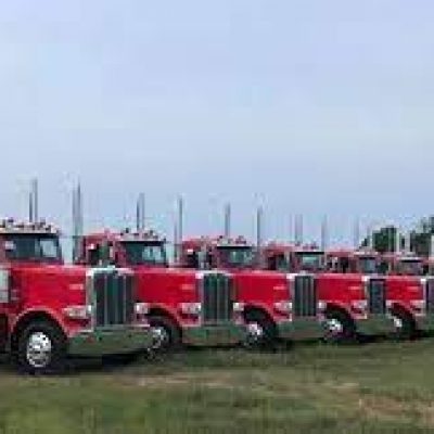 Lew Thompson & Son Trucking Inc