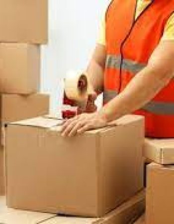 Hawaii Transfer Co Ltd