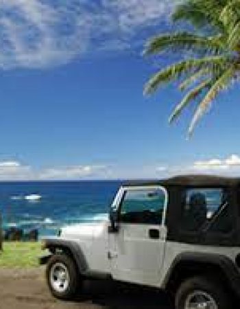 Hawaii Car Transport