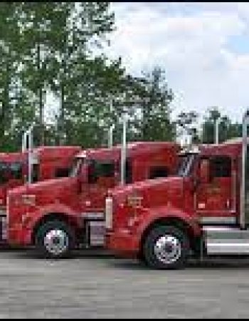 Payne Trucking Inc
