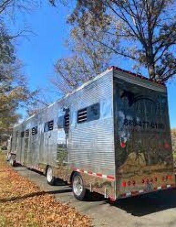 Elite Horse Transport