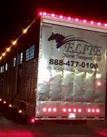 Elite Horse Transport