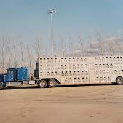 Folkens Brothers Trucking Inc