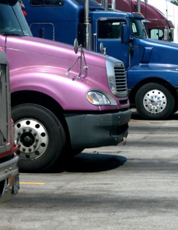 Safeway Logistics