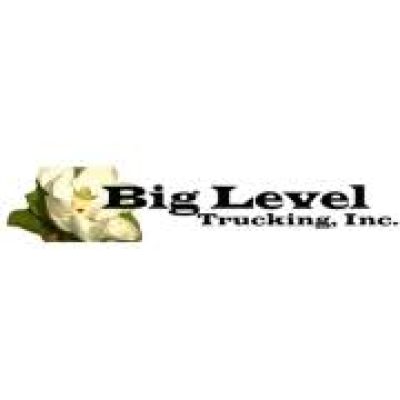 Big Level Trucking Inc