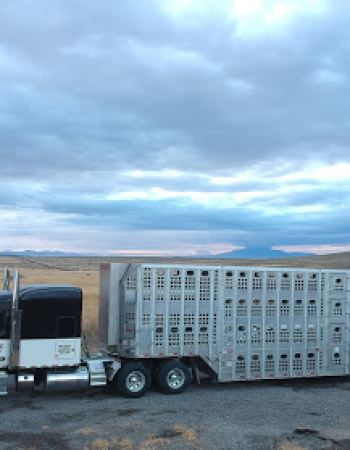 Gurney Trucking