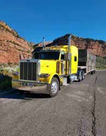 Ben Pavelka Trucking Inc