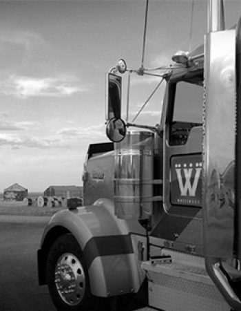 Whitewood Transport Inc