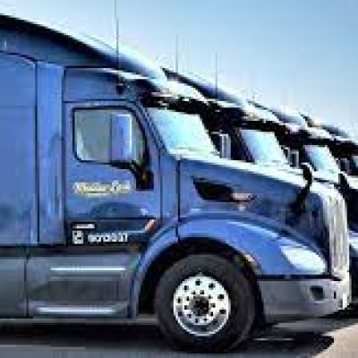 Meadow Lark Companies