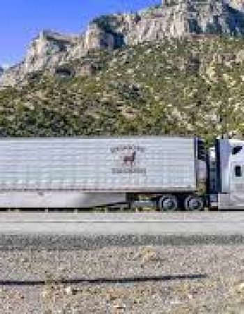 Redbone Trucking Inc