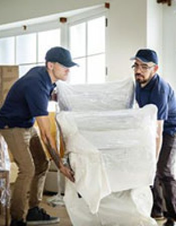 VC Movers