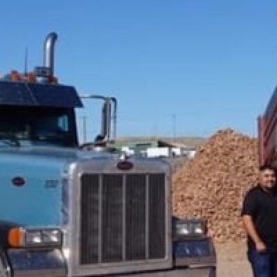 MT TRUCKING LLC
