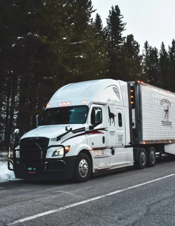 Redbone Trucking Inc
