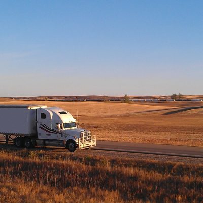 Rene Transport Ltd
