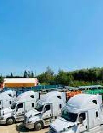 Anttal Transportation Ltd