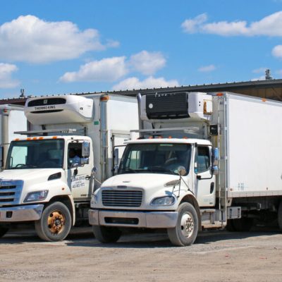 Rockyview Transport