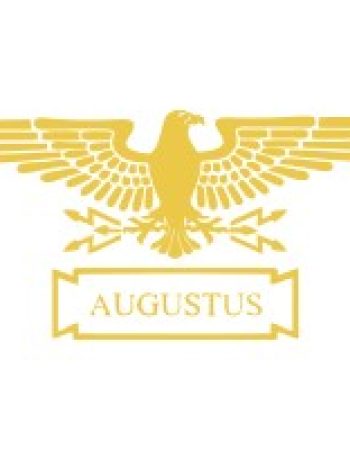 Augustus Transportation Inc