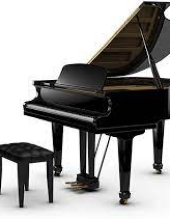 Z Piano Moving