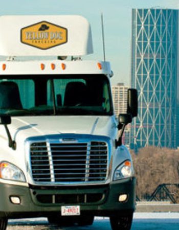 Yellow Dog Trucking Ltd