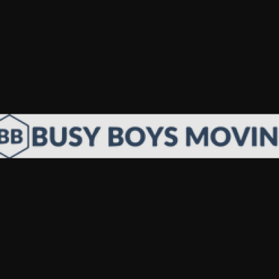 Busy Boys Moving
