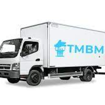 Three Men Big Muscles Movers