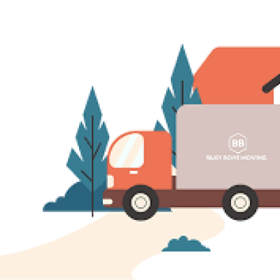 Busy Boys Moving