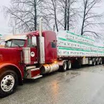 Trans-Link Trucking Ltd