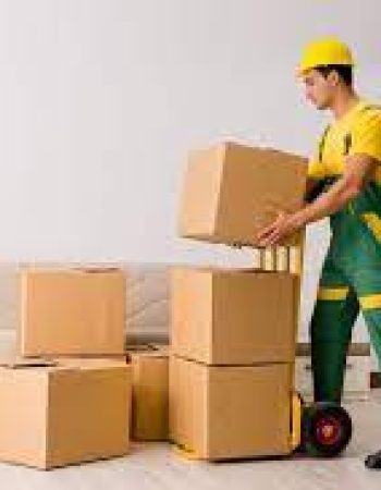 Sunrise Moving and Senior Relocation