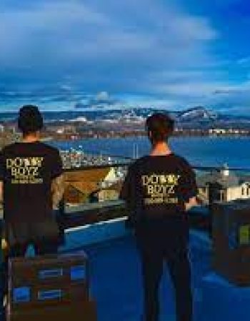 Dolly Boyz Moving Co