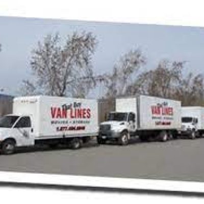 That Guy Van Lines