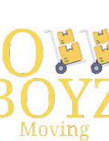 Dolly Boyz Moving Co