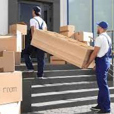 YOUR LOCAL MOVERS LTD
