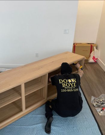 Dolly Boyz Moving Co