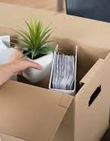 T&Z Moving and Transport