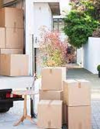 Moving Pros