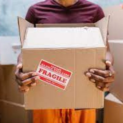 Viktoria Professional Movers
